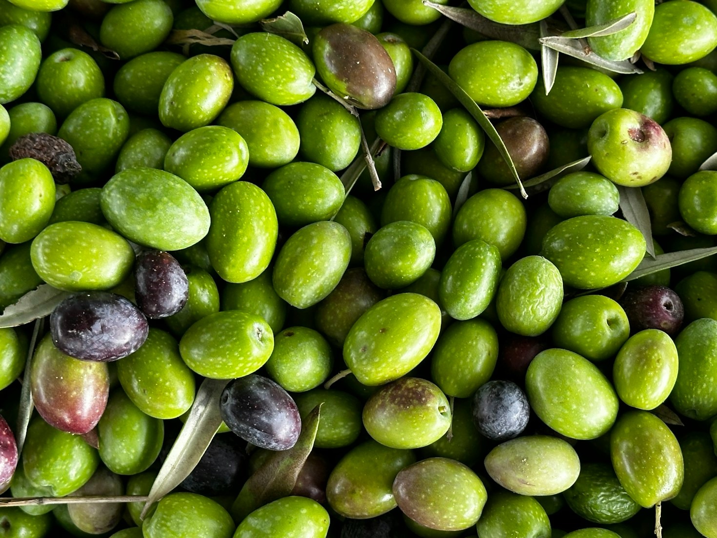 Drie manieren om olijfolie in de keuken